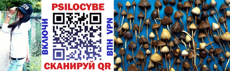 Псилоцибиновые грибы ЛСД  Купить закладки  Железноводск 